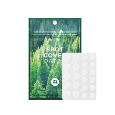 SKIN 1004 - Madagascar centella spot covet patch 22 patches