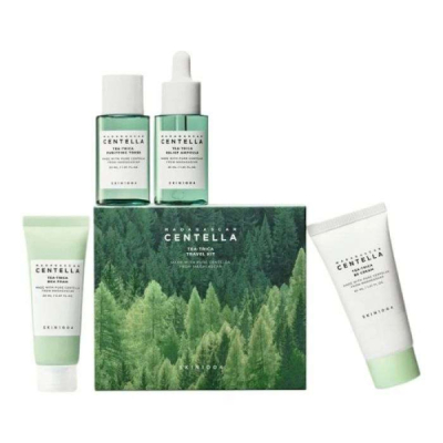 SKIN 1004 - Madagascar centella tea trica travel kit